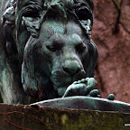 20100402_151.JPG