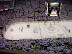 Penguin vs. Capitals Playoff Game