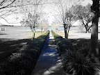 IMG_20120119_143153.jpg
