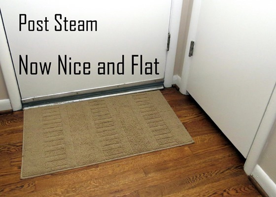 Steam-rug-flat-001-caption