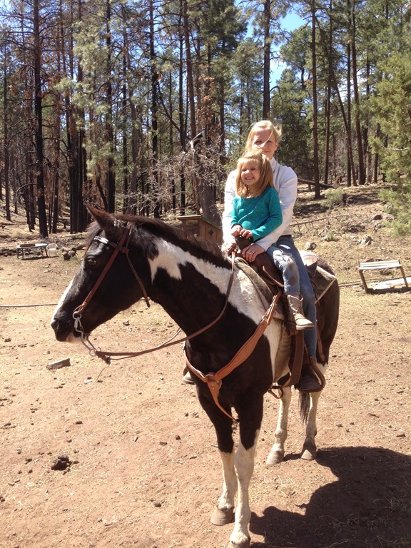 [iphone-stray-horse-0481.jpg]