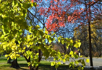 DSC_0534 DSC_0534