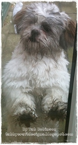 [018%255B3%255D.jpg]