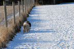 _DSC0033.JPG