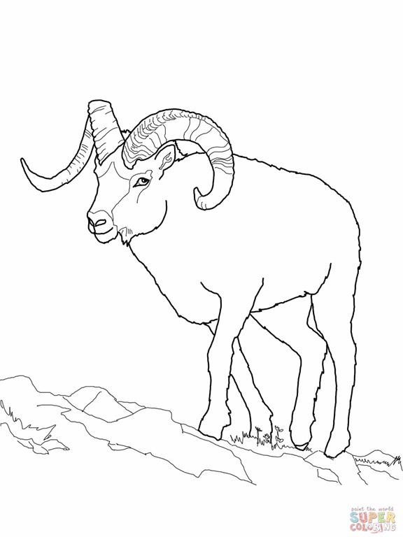 [dall-sheep-coloring-page%255B2%255D.jpg]