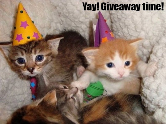 Giveaway1 Giveaway1