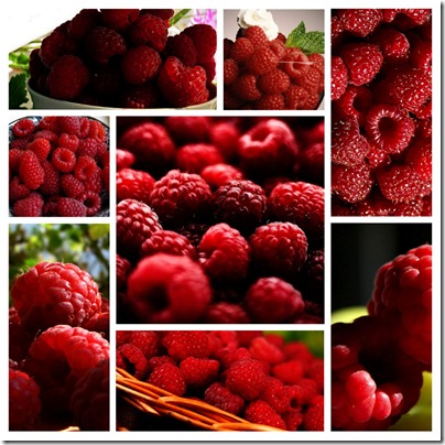 week 12 - raspberries copy