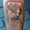 Grizzly Bear