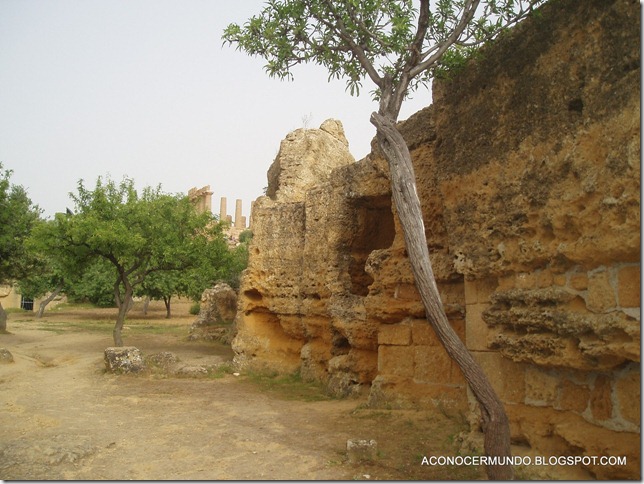 P4309340-Agrigento P4309340-Agrigento