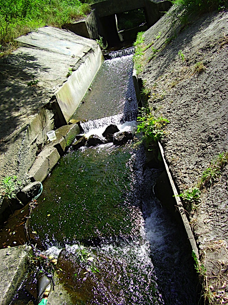 P8260163.JPG