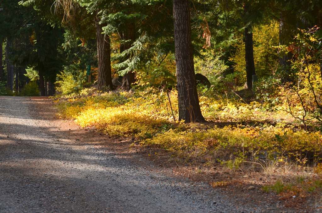 [fall%2520color%2520at%2520home-32%255B4%255D.jpg]