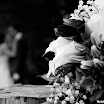 _MG_6887.jpg