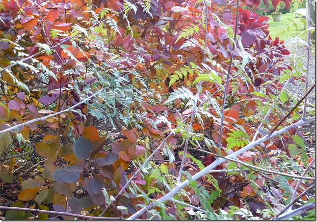 2012-11-07 10.19.17 2012-11-07 10.19.17