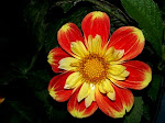 100_3988.JPG
