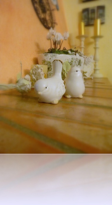 DSCN0402 DSCN0402