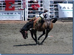 9421 Alberta Calgary - Calgary Stampede 100th Anniversary - Stampede Grandstand - Calgary Stampede Bareback Championship