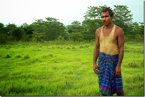 hobre hace un bosque, ecologia, naturaleza, india