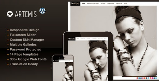 Artemis v2.0 – Photography Gallery Portfolio Theme for WordPress