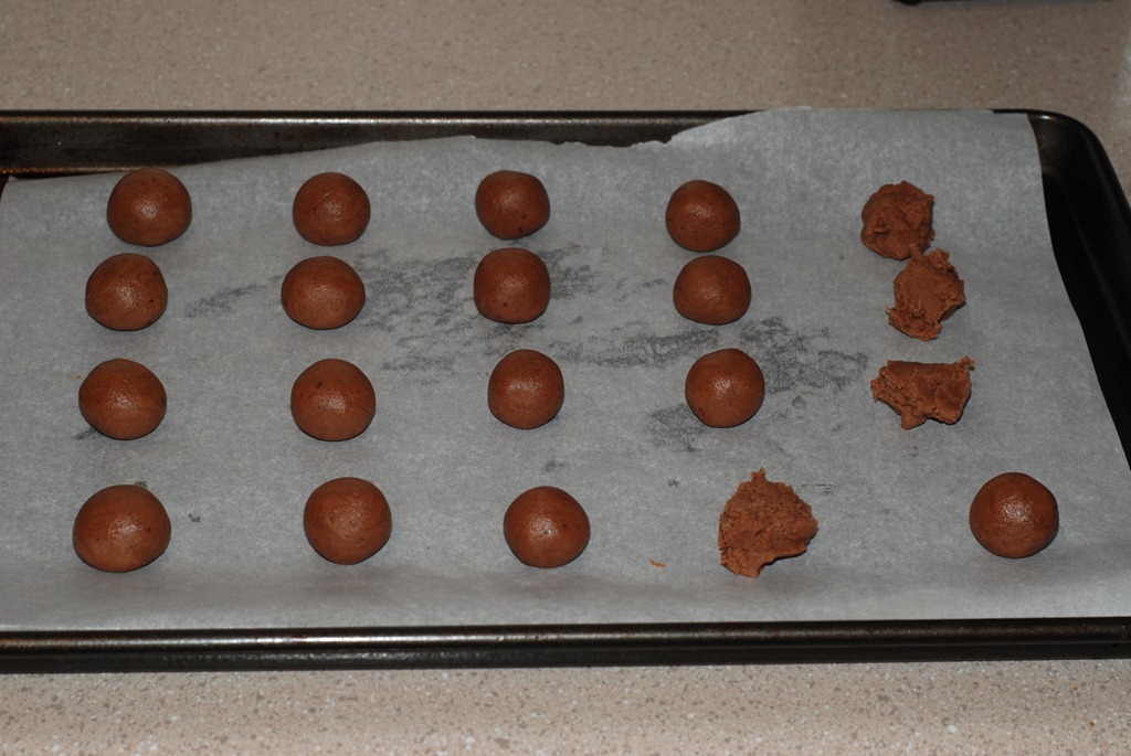 [DSC_0437%255B5%255D.jpg]