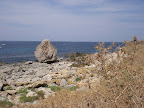 Riserva Capo Gallo 13/08/2007