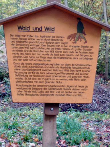 Wald und Wild