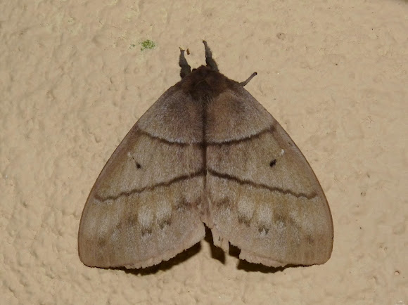 Spotting Image 1