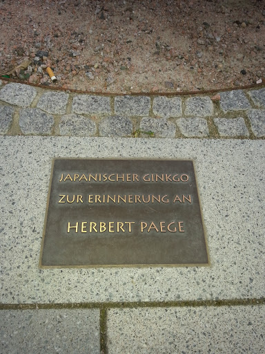 Zur Erinnerung an Herbert Paege