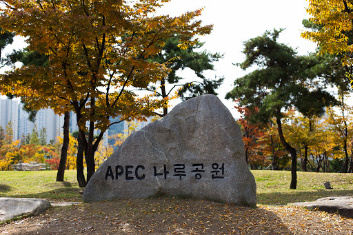 APEC 나루공원 돌