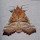 Moths of Maine