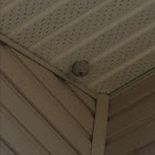 Wasps nest