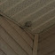 Wasps nest