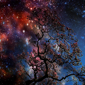 by Ivica Dujic - Landscapes Nightscapes