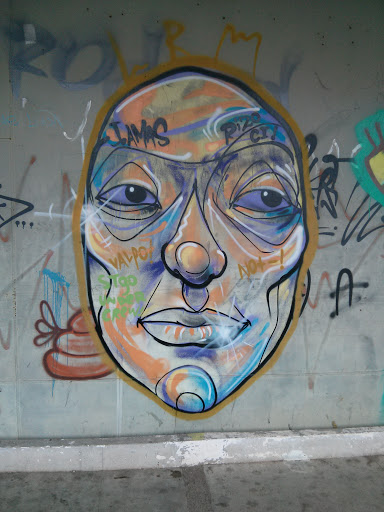 Grafiti Ponte - Zordon