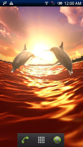 Dolphin Sun Trial