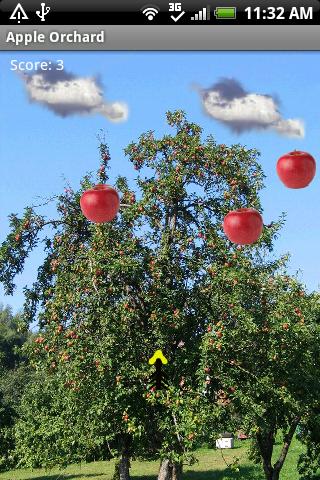 Apple Orchard