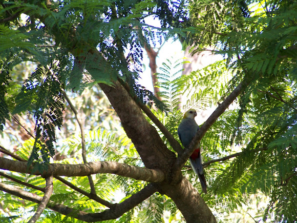 Spotting Image 1
