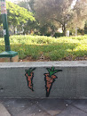 Carrot Graffitti