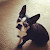 User profile picture thumbnail