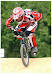 Bicicleta Redline Proline Expert Bmx Original