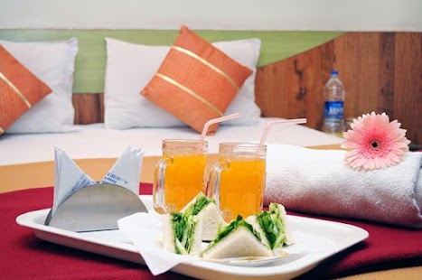 How to get Hotel Radhika Palace 0.1 mod apk for laptop