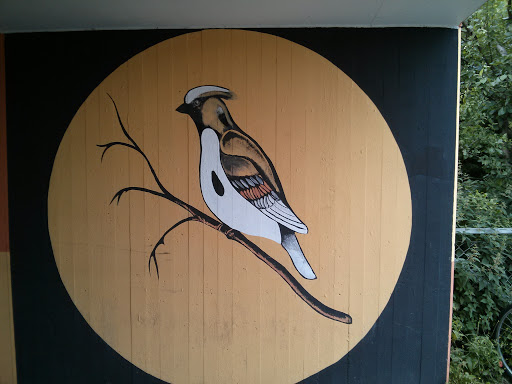 Bird Paintings on Tunnel Walls