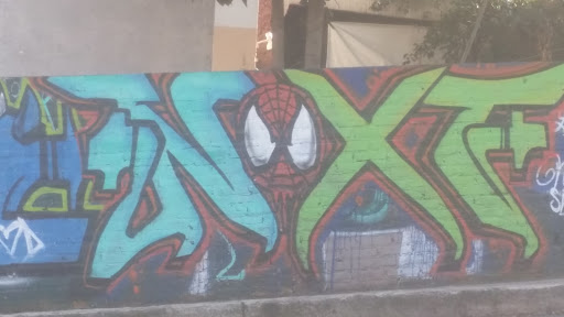 Spiderman Graffitti