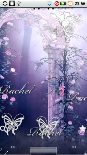 Rachel Diamond Live