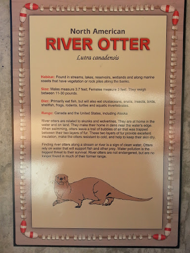 River Otter Exhibit