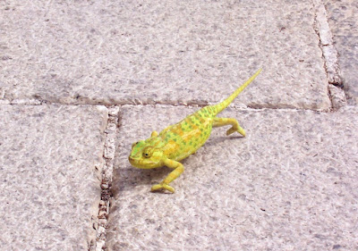 Help Image 1