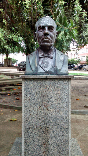 Busto Coronel Edson Borges De Paula