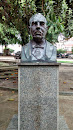 Busto Coronel Edson Borges De Paula