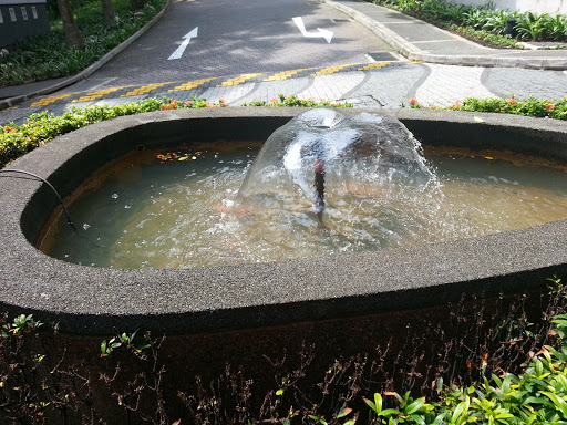 Capsule Fountain 