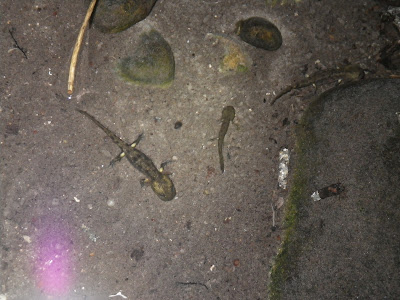 Help Image 1