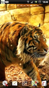 How to install free live tiger wallpaper 1.0.5 mod apk for pc